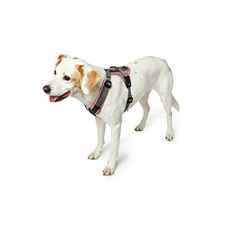 Avis Harnais pour Chien Hunter Maldon Up Rose 57-98 cm