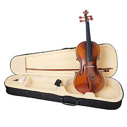 Violon acoustique