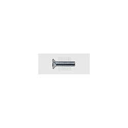 Assortiment de vis filetées SWG 03941025 100 pc(s) M4 10 mm tête fraisée cruciforme Philips acier DIN 965