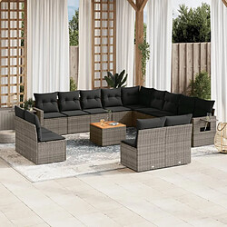 Maison Chic Salon de jardin avec coussins 14 pcs, Ensemble Tables et chaises de jardin, gris résine tressée -GKD540686