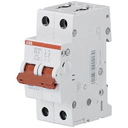 interrupteur modulaire - 2 pôles - sd200 - 63a - abb 362006