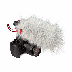 Avis VidéoMic Rycote Rode