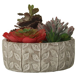 Plante décorative Alexandra House Living Plastique Succulent 20 x 21 x 18 cm 