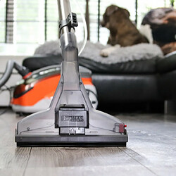 Aspirateur- laveur THOMAS AQUA + Pet & Family