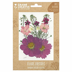 Graines Creatives 14 fleurs pressées - prairie parme 