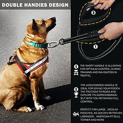 Acheter Universal Ceinture pour chien résistante Ceinture de course sans traction Ceinture élastique pour chariot de compagnie Corde de sécurité Large Chien Entraînement Bretelle pour chiens de taille moyenne Accessoires pour chiens de taille moyenne