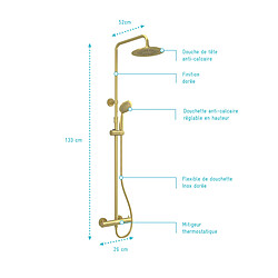 Acheter Aurlane Colonne de douche thermostatique