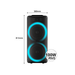 Marlone Enceinte Bluetooth 5.0 100W avec 2 Micros Sans Fil Modèle Booster Noir