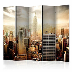 Paris Prix Paravent 5 Volets Uncombed By Wind 172x225cm