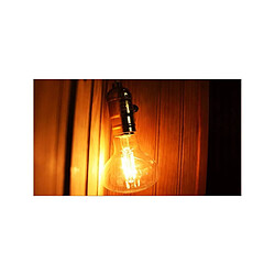 Desineo Ampoule vintage à LED 4W E27 R80 style Edison bulb 