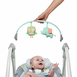 Ingenuity Balançoire portable Swing 'n' Go Hugs & Hoots pas cher