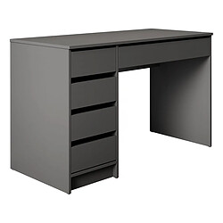 Habitat Et Jardin Bureau Ada - 120 x 75 x 55 cm - Gris