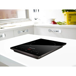 Table de cuisson à induction posable 2000w - darkfire daily - TAURUS