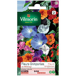 Vilmorin Sachet graines Fleurs grimpantes en mélange