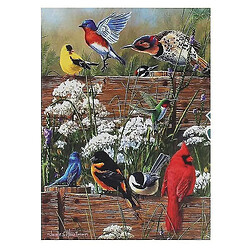 Acheter Universal 1000 oiseaux de bon augure puzzle jeu de décompression