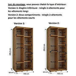 Abiks Meble Armoire à portes coulissantes Davos 1 H235.2 x L100 x P60 2 portes coulissante (Chêne artisan/Blanc/Argent) pas cher