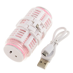 Pince à cheveux à rouleaux à double pont rechargeable USB