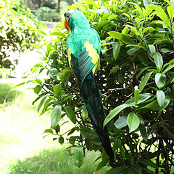 oiseau coloré plume réaliste maison jardin décor ornement perroquet oiseau vert