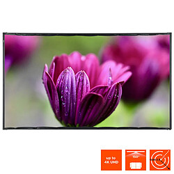 Écran de projection celexon sur cadre mobile basic 221 x 124 cm pas cher