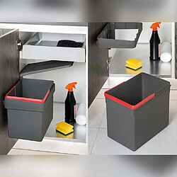 Emuca Poubelle de recyclage 15 litres fixation sur porte Recycle.