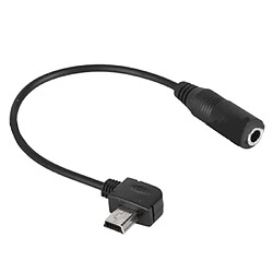 Wewoo Pour GoPro HERO3 10pin mini USB à 3.5mm micro câble adaptateur 