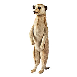 Hansa peluche geante Suricate 90cmH