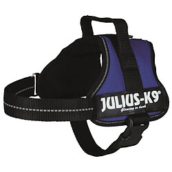 Julius K9 Harnais Power Julius-K9 - Mini - M : 51-67 cm-28 mm - Bleu - Pour chien