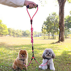 Equipement de transport pour chien