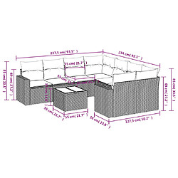 Avis vidaXL Salon de jardin avec coussins 9 pcs beige résine tressée