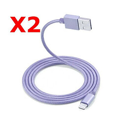 Little Boutik X2 Cable Metal Nylon Renforce Chargeur USB Couleur Argent pour IPhone Longueur 2m Tréssé Compatible IPhone 6 7 8 X Xr 11 12 X2