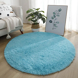 LUUCOZK Tapis à poils longs doux et moelleux pour chambre à coucher et salon - Cielbleu-100x100cm