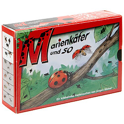 Adlung Spiele adl11034 marienkafer und So Jeu de Cartes