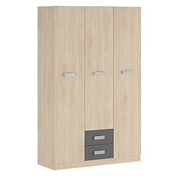 Pegane Armoire, placard garde-robe 2 portes coloris puccini, graphite - Longueur 60 x Profondeur 37,80 x Hauteur 208 cm 