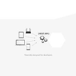 Justgreenbox MINI WiFi bricolage commutateur intelligent télécommande commutateur externe bidirectionnel fonctionne avec Alexa Google Home - 3654657659585