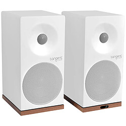 Enceintes Hifi Tangent