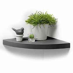 Paris Prix Étagère Murale d'Angle Flottante 25cm Anthracite 