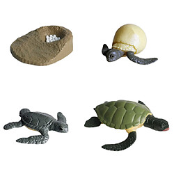 4pcs Miniature Tortue De Mer Simulation Modèle Cycle De Croissance D'animaux Classiques