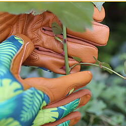 BESTA paire de gants de jardinage pour femme, en cuir de vachette, adaptés aux travaux de jardinage, respirants et confortables pas cher