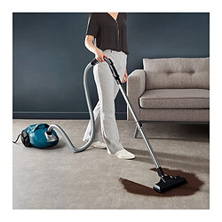 Aspirateur traîneau ROWENTA RO3950EA