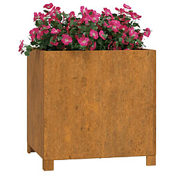 Avis Maison Chic Jardinière,Bac à fleurs - pot de fleurs avec pieds 2 pcs Rouillé 49x47x50 cm Acier corten -GKD10778