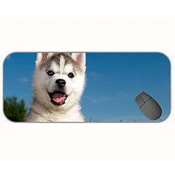 Universal (750x300x3) XXL GAMING MOUSE PAD, Chiots Dog Office Mouse Pad