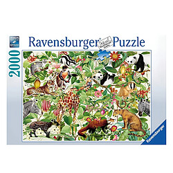 Puzzle animaux