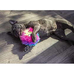 Avis goDog Furballz Rainbow Plush Dog Toy with Chew Guard Technology, Small, Rainbow