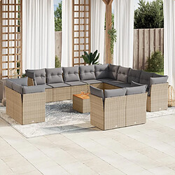 vidaXL Salon de jardin et coussins 14 pcs mélange beige résine tressée