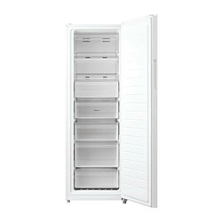 Congélateurs armoire 238L CANDY 59.5cm F, CAN8059019037608