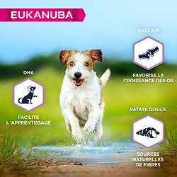 Acheter EUKANUBA Puppy small/medium Grain Free ryba oceaniczna pies12Kg