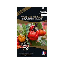 Sanrival Graines potagères premium aubergine Africaine