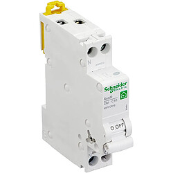 Schneider Electric Disjoncteur peignable Rési9 (16A Courbe C) à vis Gamme XP - Schneider 