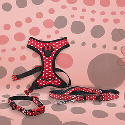 Avis Laisse pour Chien Minnie Mouse Rouge