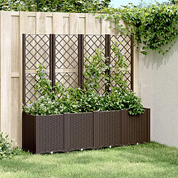 Maison Chic Jardinière,Bac à fleurs avec treillis - pot de fleur marron 160x40x140 cm PP -GKD27404